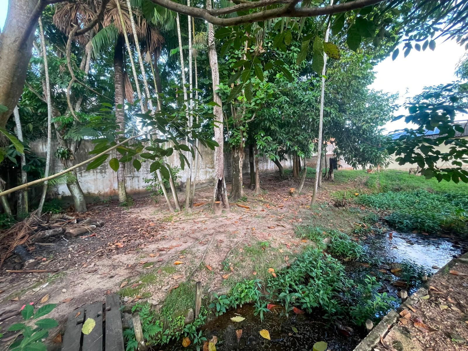 Situacao atual da coleta