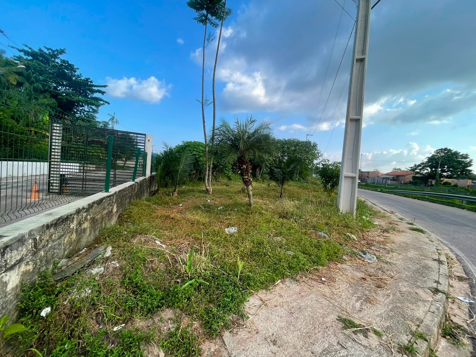 Situacao atual da coleta